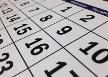 Giorni e orari di tutte le partite della Pro Patria