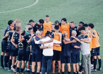 Tigrotti bustocchi generosi. Pantere brianzole ciniche ( di Ottavio Tognola)