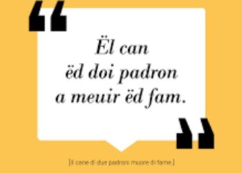 Il cane con due padroni muore di fame