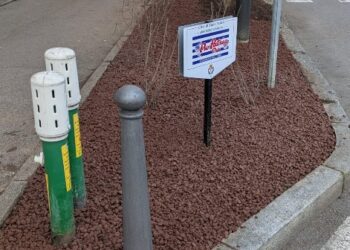 Il Pro Patria Club adotta un’aiuola