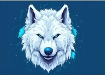 Le pagelle del “Lupo”